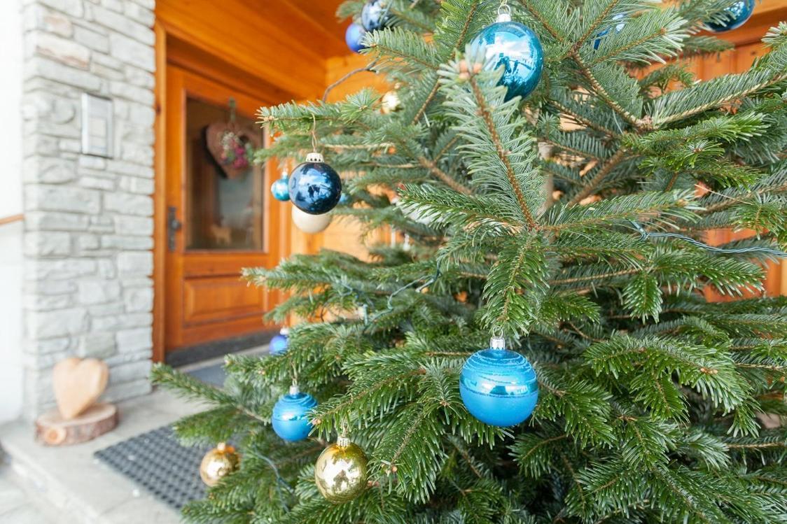 Holiday Im Gaestehaus Warter In Altenmarkt Алтенмаркт им Понгау Екстериор снимка