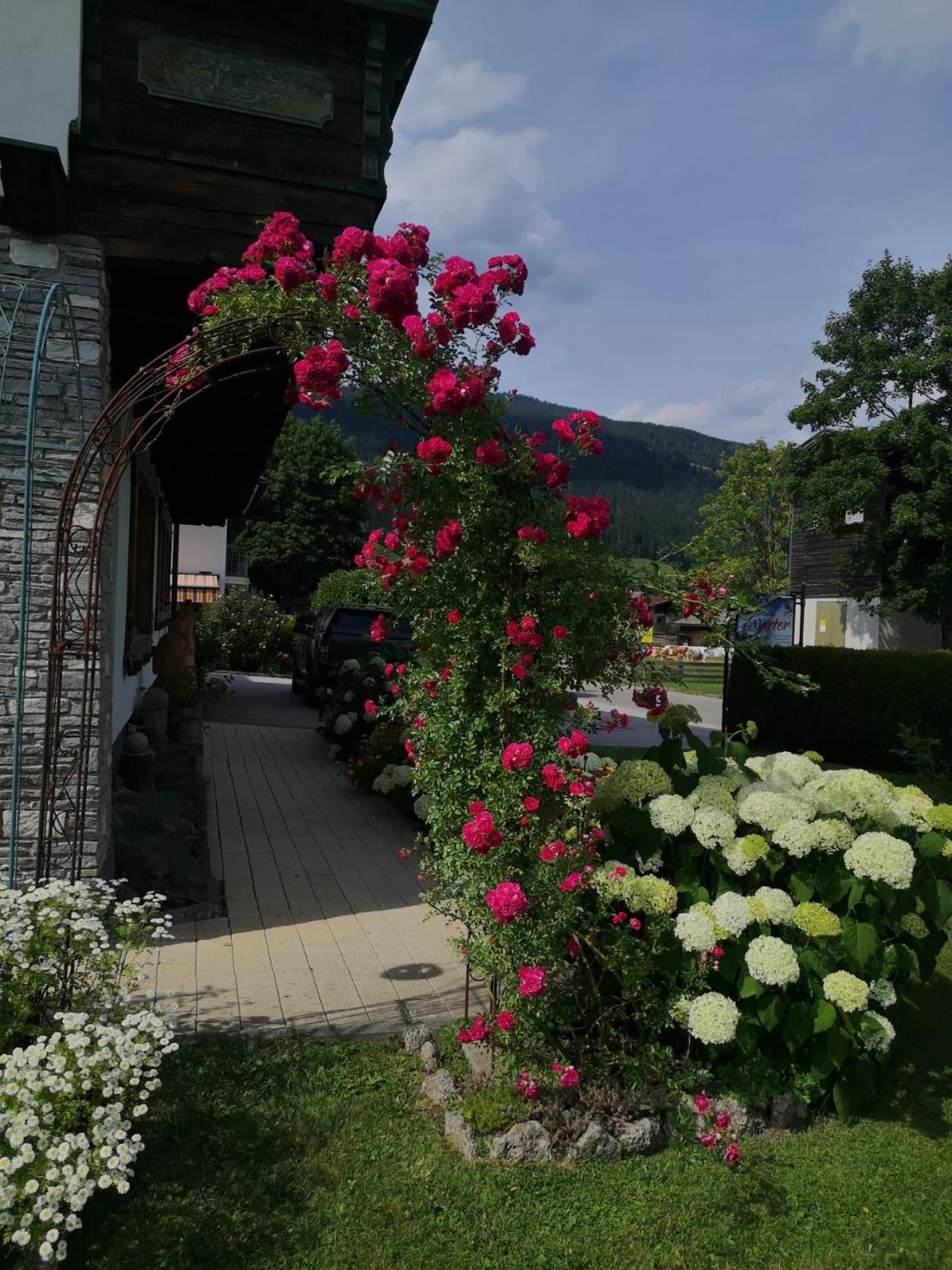 Holiday Im Gaestehaus Warter In Altenmarkt Алтенмаркт им Понгау Екстериор снимка